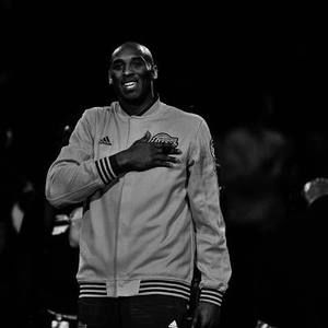 Meet your Posher, Marvin